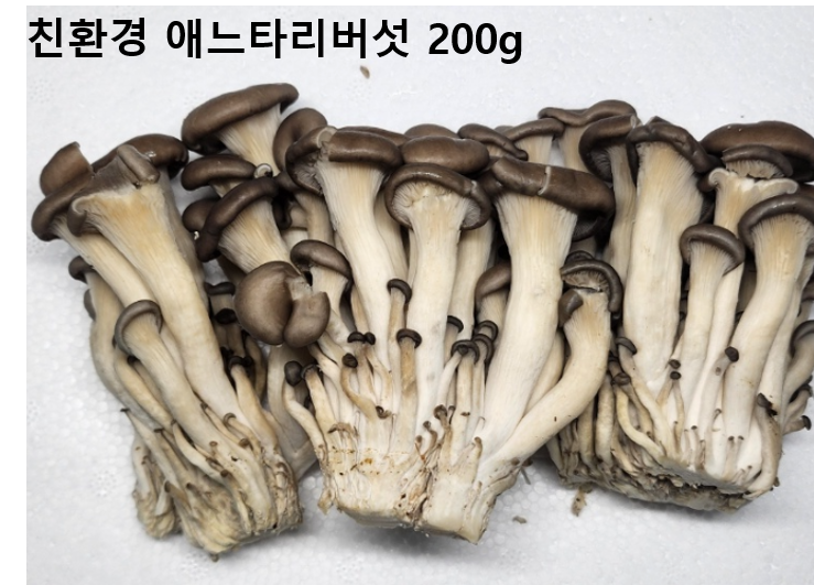 이미지2